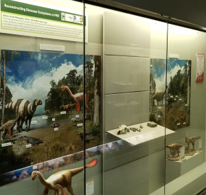 A temporary display in connection with the symposium is open to the public at the Stephen Hui Geological Museum